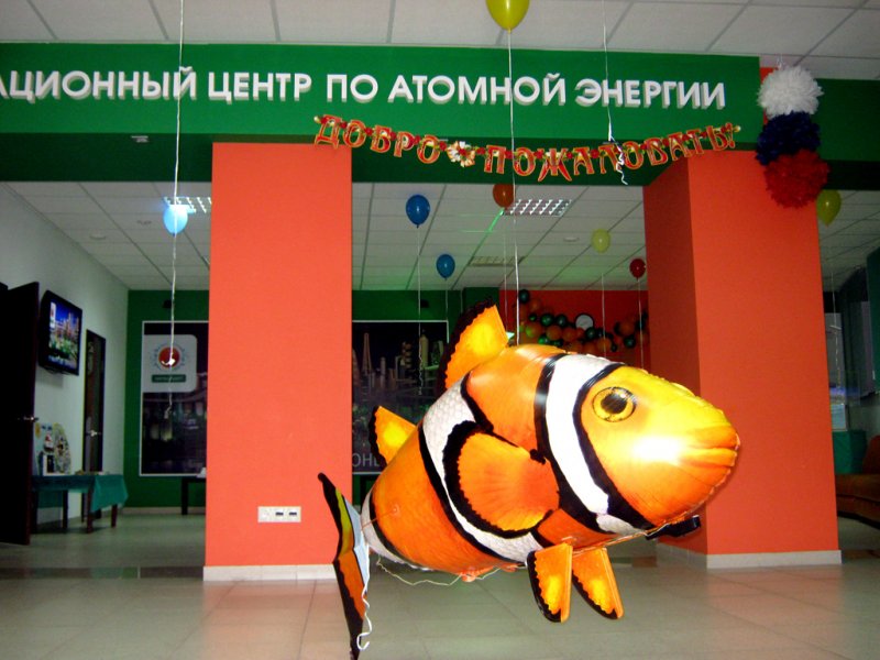 Фото к Воронежские школьники за чистое море
