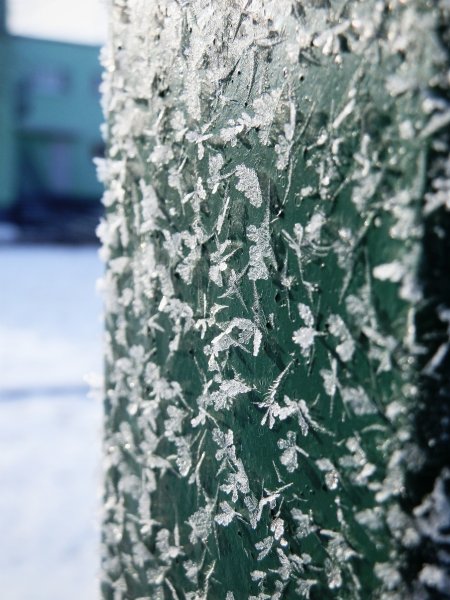 Фото к Список участников и работы конкурса «Явления в природе». Номинация «Мир под лупой»