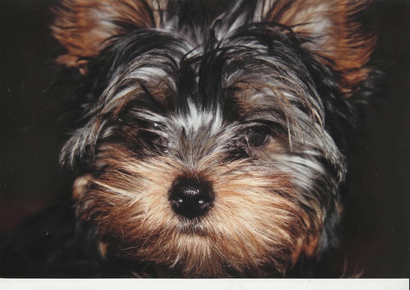 Фото к Список участников и работы конкурса «Явления в природе». Номинация «Мир под лупой»