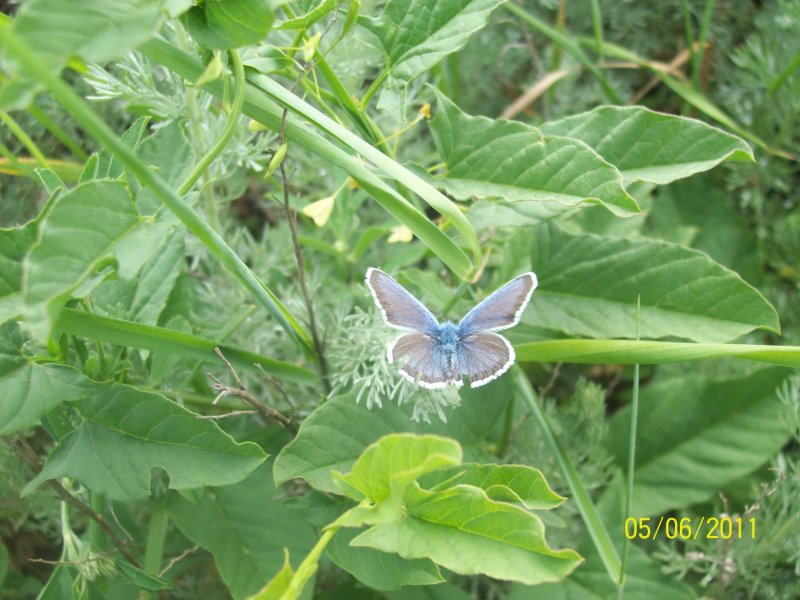 Фото к Список участников и работы конкурса «Явления в природе». Номинация «Мир под лупой»