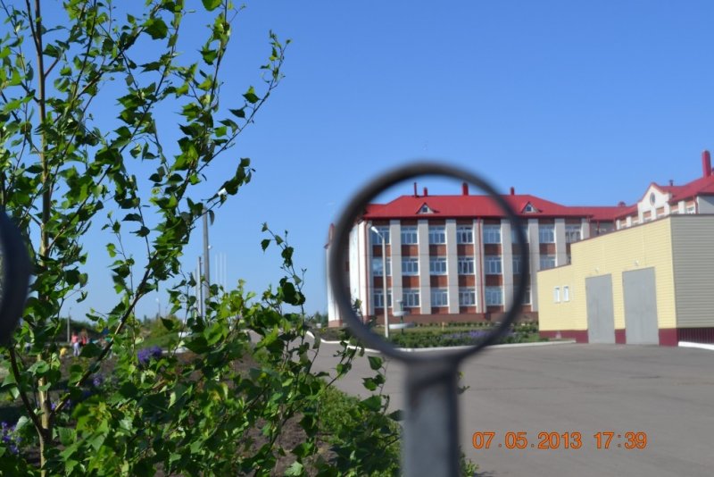 Фото к Список участников и работы конкурса «Явления в природе». Номинация «Мир под лупой»