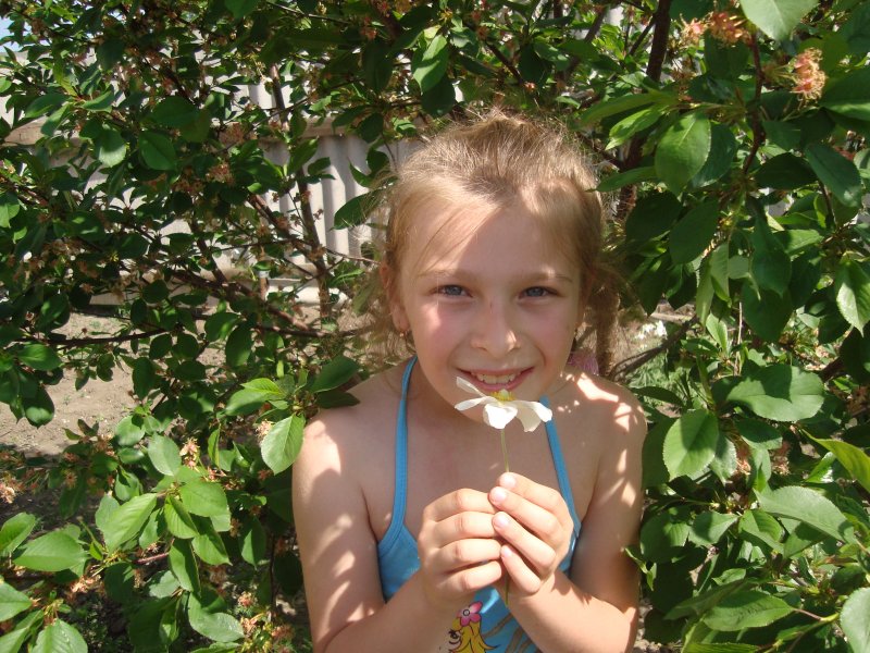 Фото к Список участников и работы конкурса «Явления в природе». Номинация «Мир под лупой»