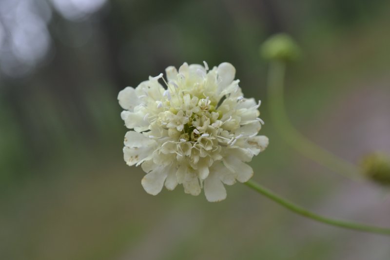 Фото к Список участников и работы конкурса «Явления в природе». Номинация «Мир под лупой»