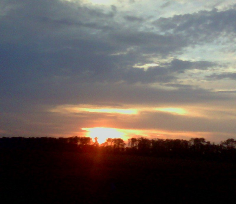 Фото к Список участников и работы конкурса «Явления в природе». Номинация «Световая кисть»