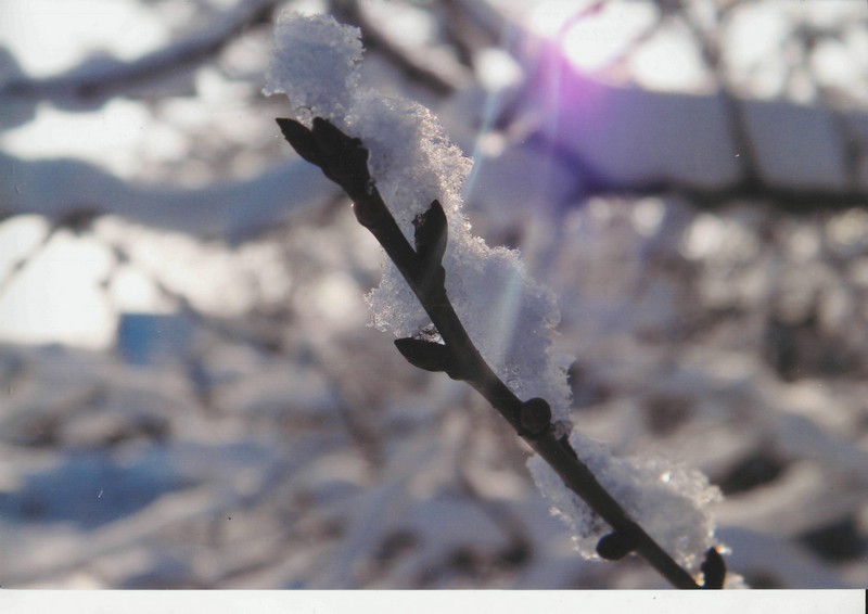 Фото к Список участников и работы конкурса «Явления в природе». Номинация «Световая кисть»