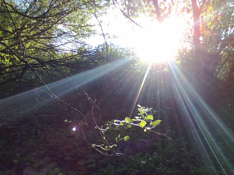 Фото к Список участников и работы конкурса «Явления в природе». Номинация «Световая кисть»