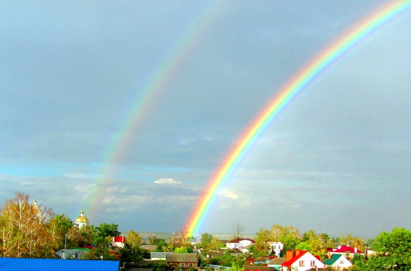 Фото к Список участников и работы конкурса «Явления в природе». Номинация «Фото для учебника»