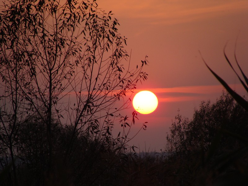 Фото к Список участников и работы конкурса «Явления в природе». Номинация «Фото для учебника»