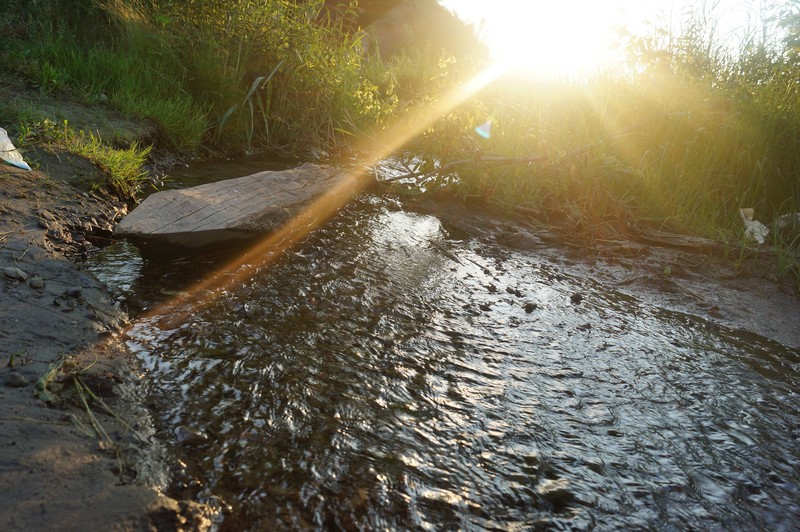Фото к Список участников и работы конкурса «Явления в природе». Номинация «Фото для учебника»