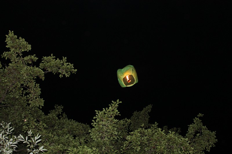 Фото к Список участников и работы конкурса «Явления в природе». Номинация «Фото для учебника»