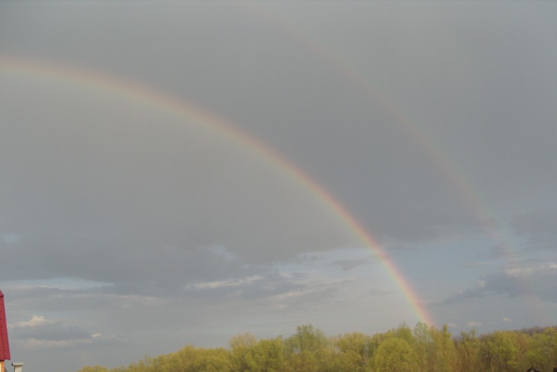 Фото к Список участников и работы конкурса «Явления в природе». Номинация «Фото для учебника»