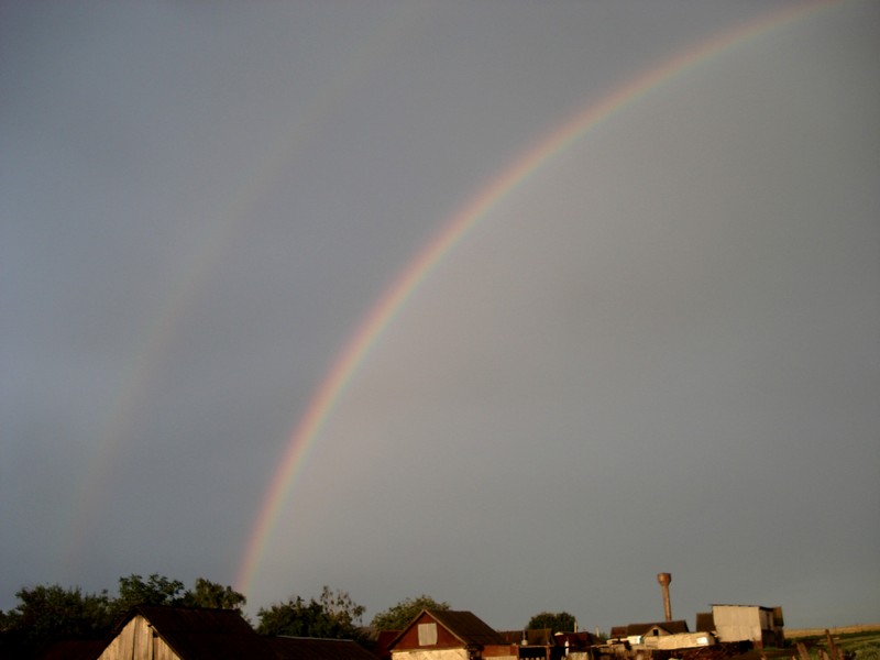 Фото к Список участников и работы конкурса «Явления в природе». Номинация «Фото для учебника»