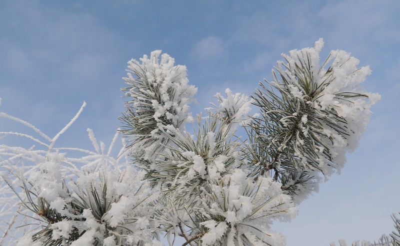 Фото к Список участников и работы конкурса «Явления в природе». Номинация «Фото для учебника»