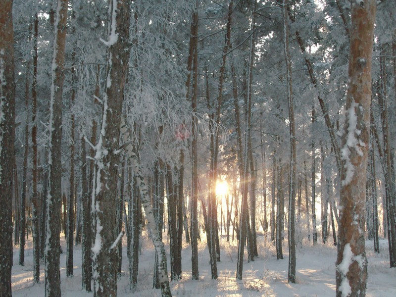 Фото к Список участников и работы конкурса «Явления в природе». Номинация «Фото для учебника»