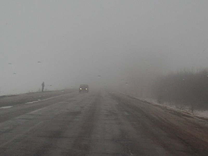 Фото к Список участников и работы конкурса «Явления в природе». Номинация «Фото для учебника»