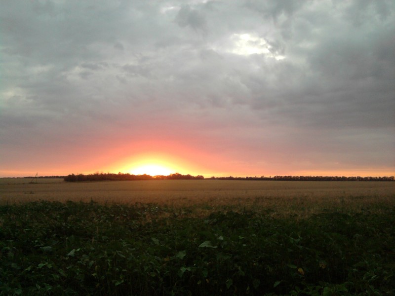 Фото к Список участников и работы конкурса «Явления в природе». Номинация «Фото для учебника»