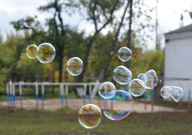 Фото к Список участников и работы конкурса «Явления в природе». Номинация «Фото для учебника»