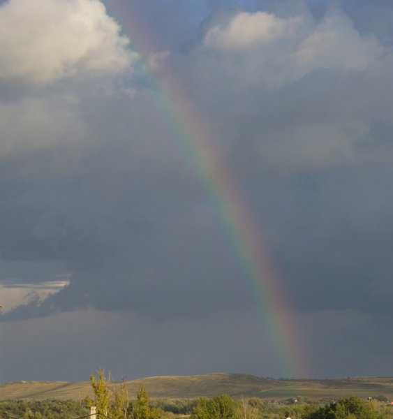 Фото к Список участников и работы конкурса «Явления в природе». Номинация «Фото для учебника»