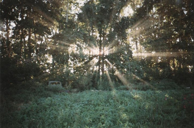 Фото к Список участников и работы конкурса «Явления в природе». Номинация «Фото для учебника»