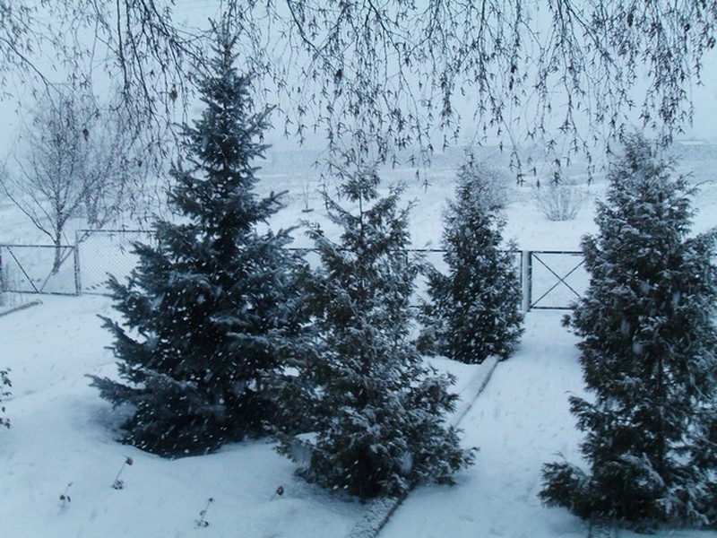 Фото к Список участников и работы конкурса «Явления в природе». Номинация «Фото для учебника»