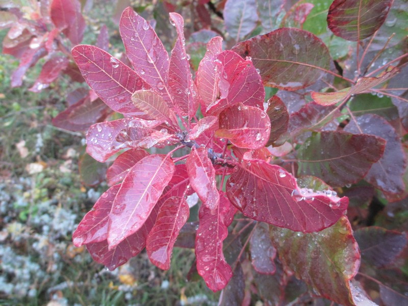 Фото к Список участников и работы конкурса «Явления в природе». Номинация «Фото для учебника»