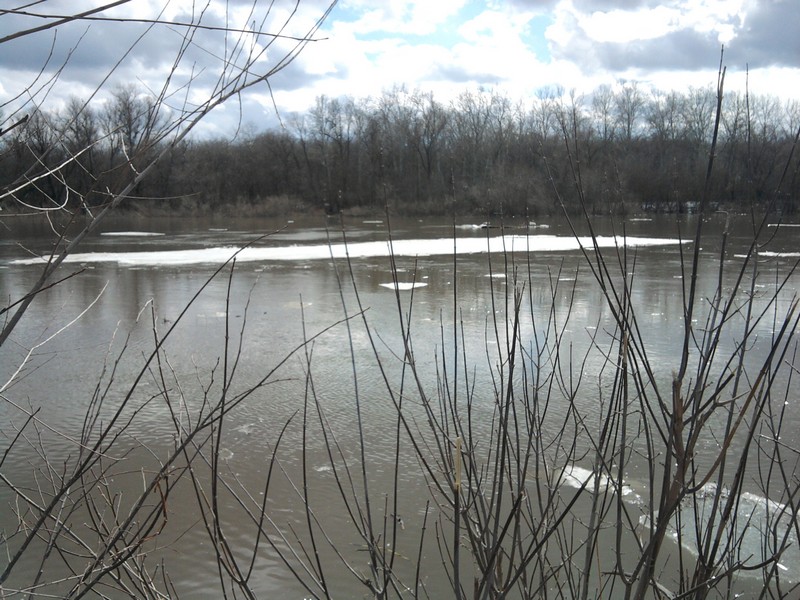 Фото к Список участников и работы конкурса «Явления в природе». Номинация «Фото для учебника»