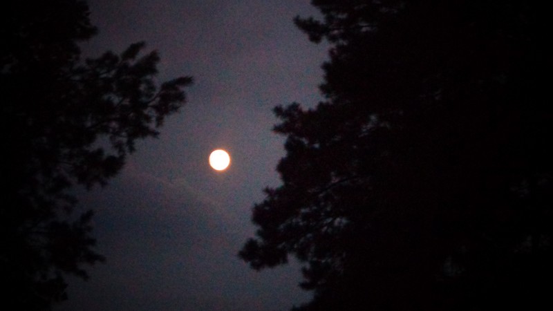 Фото к Список участников и работы конкурса «Явления в природе». Номинация «Фото для учебника»