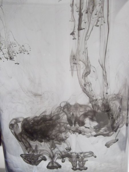 Фото к Список участников и работы конкурса «Явления в природе». Номинация «Фото для учебника»