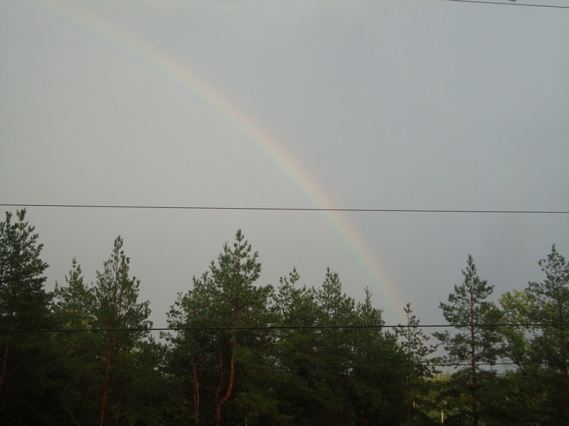 Фото к Список участников и работы конкурса «Явления в природе». Номинация «Фото для учебника»