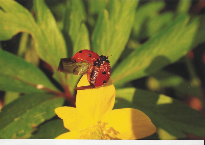 Фото к Список участников и работы конкурса «Явления в природе». Номинация «Энергия движения»