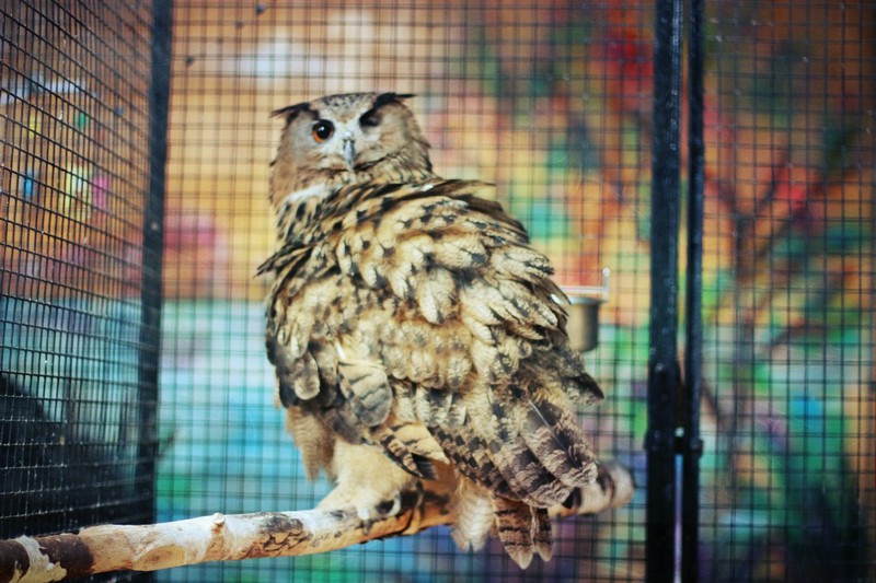 Фото к Список участников и работы конкурса «Явления в природе». Номинация «Энергия движения»