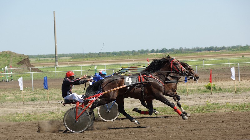 Фото к Список участников и работы конкурса «Явления в природе». Номинация «Энергия движения»