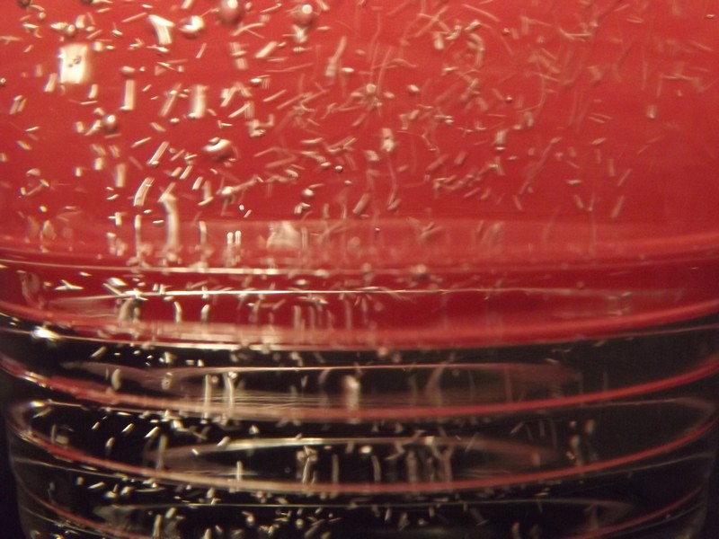 Фото к Список участников и работы конкурса «Явления в природе». Номинация «Энергия движения»