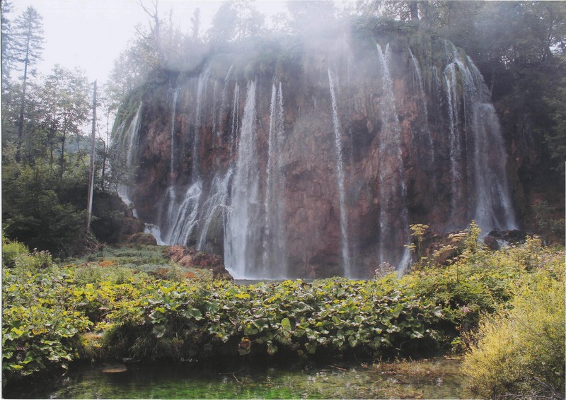 Фото к Список участников и работы конкурса «Явления в природе». Номинация «Энергия движения»