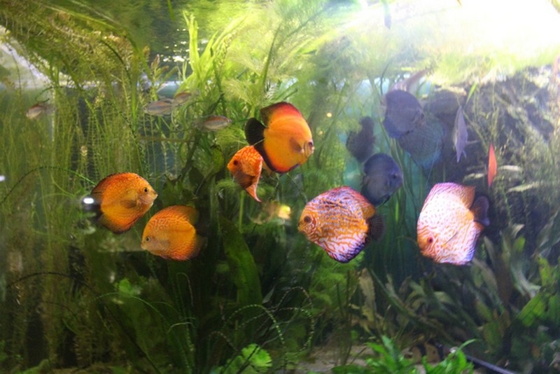 Фото к Список участников и работы конкурса «Явления в природе». Номинация «Энергия движения»