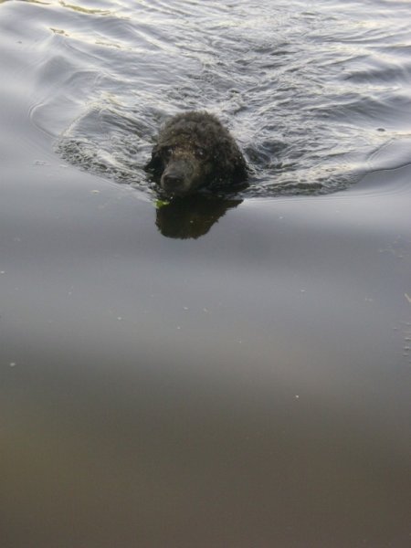 Фото к Список участников и работы конкурса «Явления в природе». Номинация «Энергия движения»