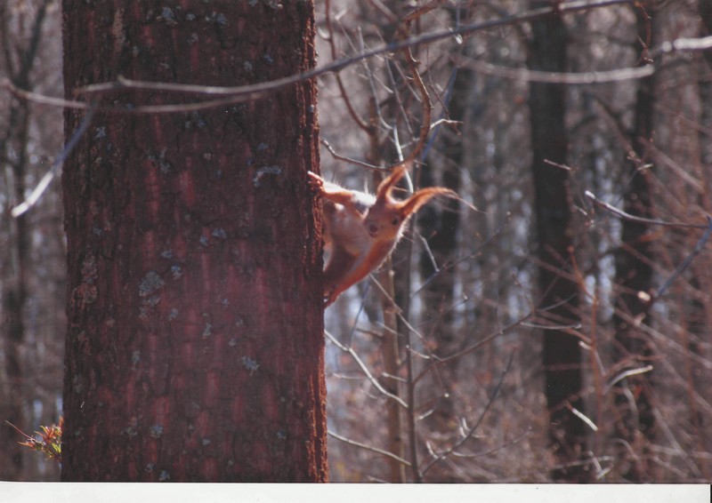Фото к Список участников и работы конкурса «Явления в природе». Номинация «Энергия движения»