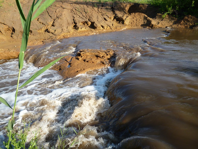 Фото к Список участников и работы конкурса «Явления в природе». Номинация «Энергия движения»