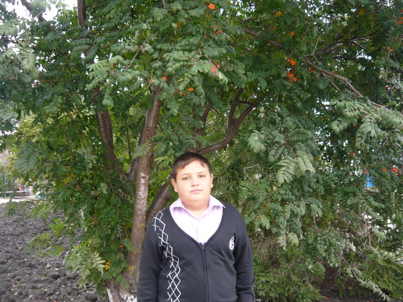 Фото к Список участников и работы конкурса «Явления в природе». Номинация «Энергия движения»