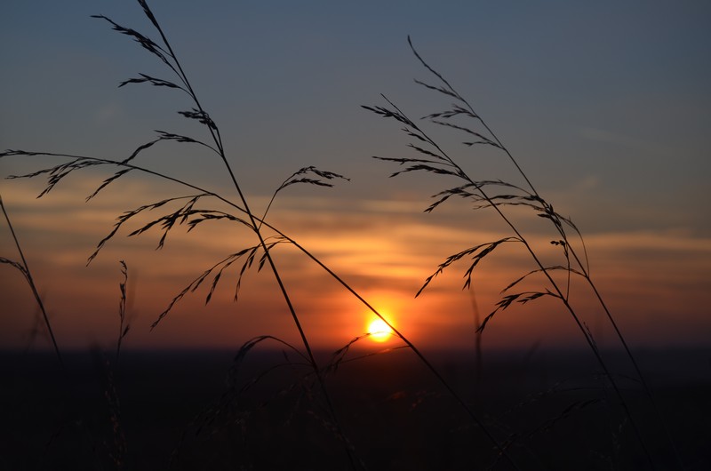 Фото к Список участников и работы конкурса «Явления в природе». Номинация «Энергия движения»