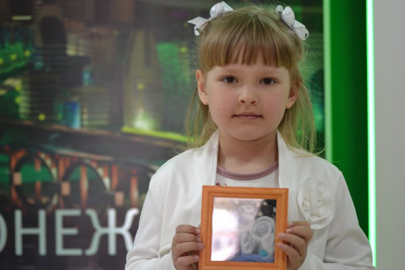 Фото к В Воронеже подвели итоги межрегионального проекта «Дни Арктики в ИЦАО»