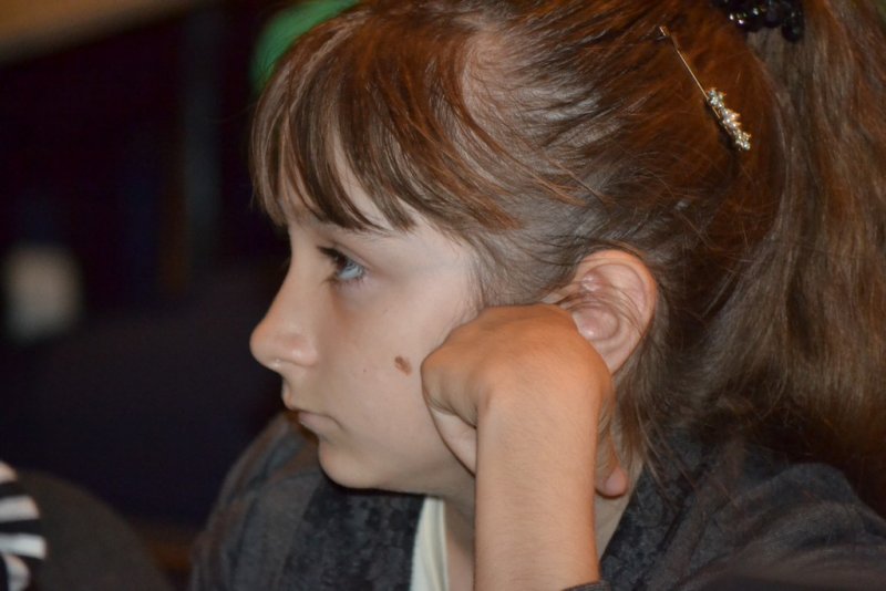 Фото к Дни Арктики в ИЦАО