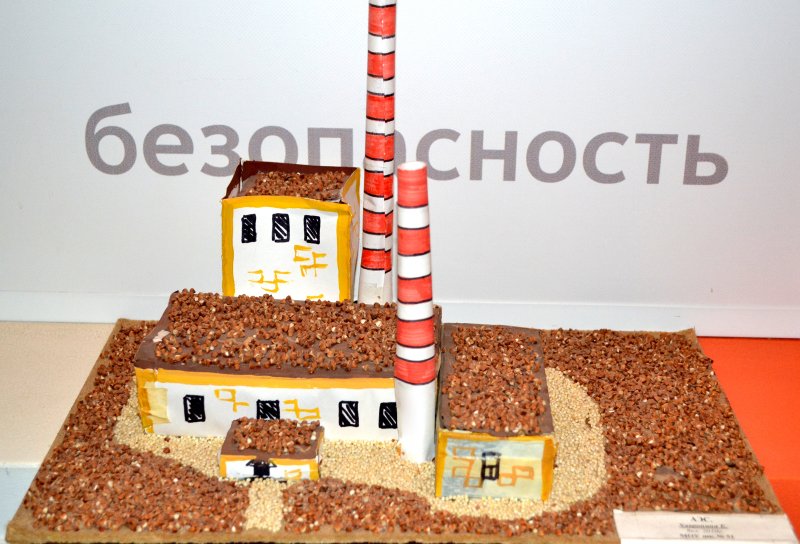 Фото к «С легким паром!»: Школьники Воронежа отметили 60-летие первой в мире атомной станции