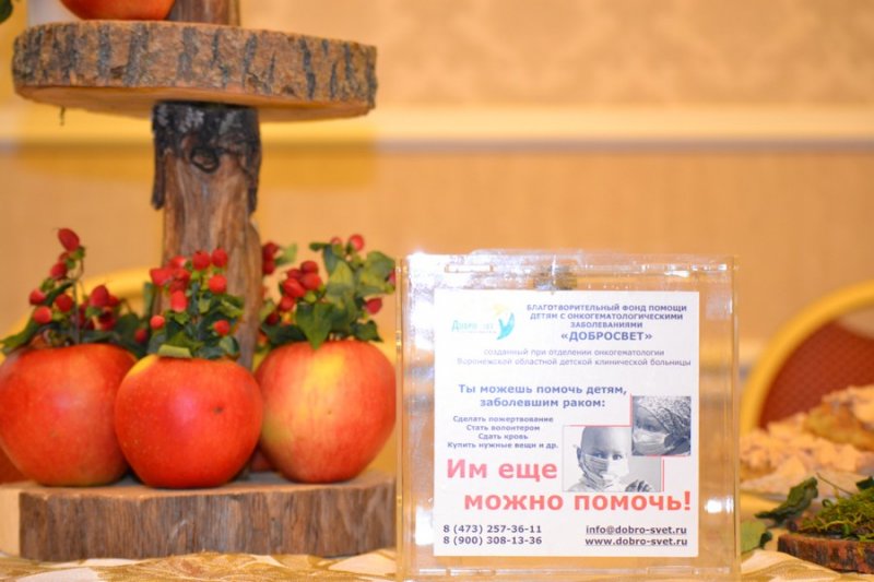 Фото к В Воронеже состоялся благотворительный фестиваль шарлоток