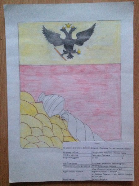 Фото к В акции «Поздравь Россию с Новым годом!» участвовали 300 воронежских школьников