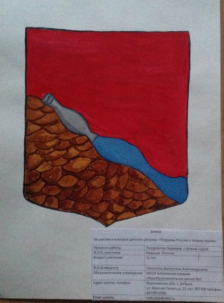 Фото к В акции «Поздравь Россию с Новым годом!» участвовали 300 воронежских школьников