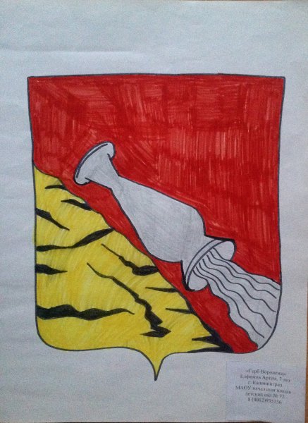 Фото к В акции «Поздравь Россию с Новым годом!» участвовали 300 воронежских школьников