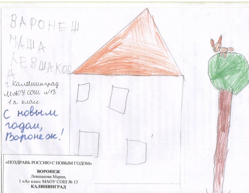 Фото к В акции «Поздравь Россию с Новым годом!» участвовали 300 воронежских школьников