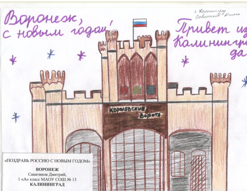 Фото к В акции «Поздравь Россию с Новым годом!» участвовали 300 воронежских школьников