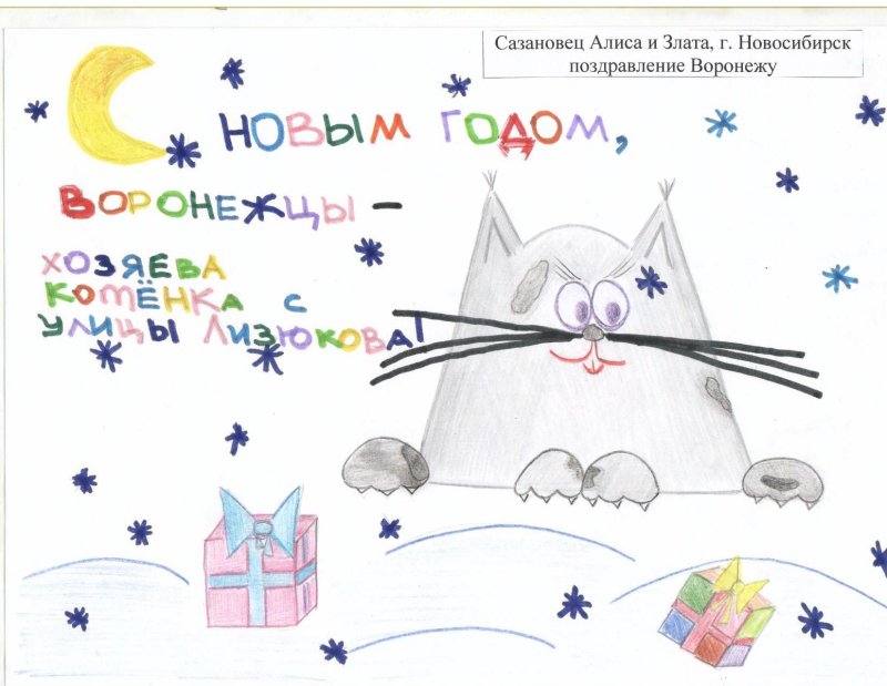 Фото к В акции «Поздравь Россию с Новым годом!» участвовали 300 воронежских школьников